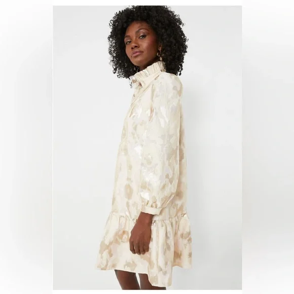 NWT Tuckernuck Palmerston Champagne Fil Coupé Mini Dress XXS Wedding Guest - Picture 4 of 13